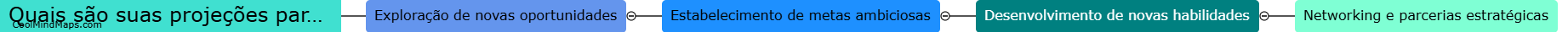 Quais são suas projeções para o futuro profissional?