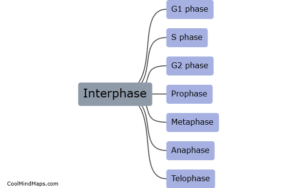 What are the four main phases of the cell cycle?