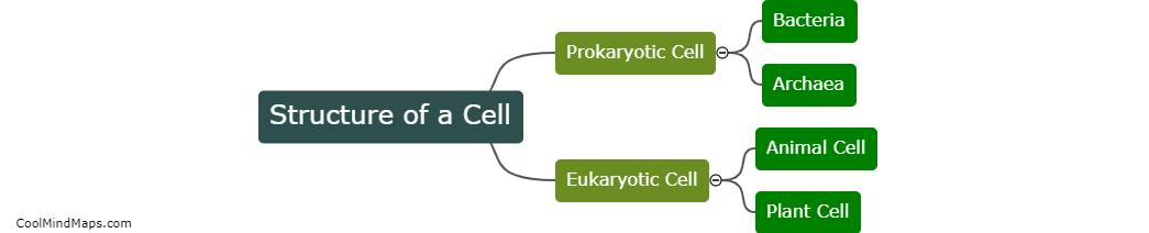 What is the structure of a cell?