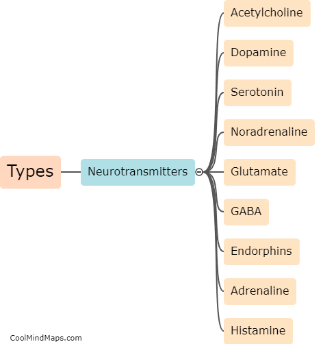 What are the different types of neurotransmitters?
