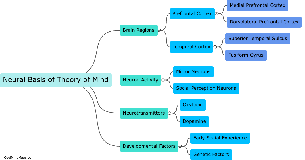 What is the neural basis of theory of mind?