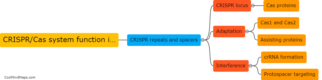 How does the CRISPR/Cas system function in bacteria?