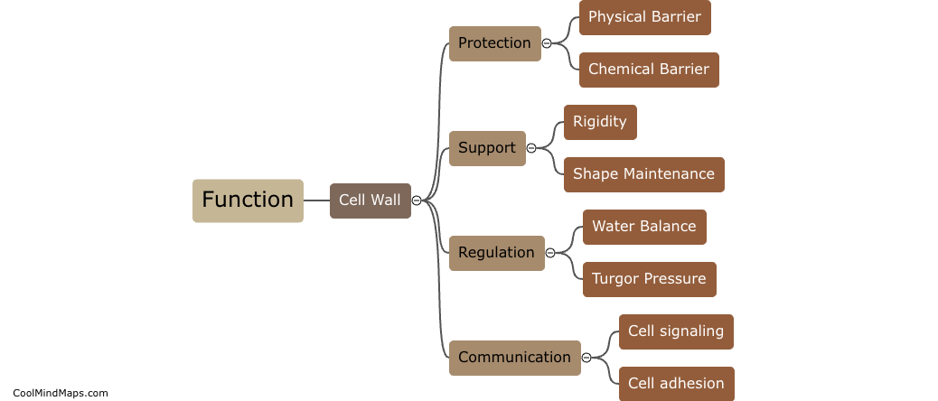 What is the function of the cell wall in plant cells?