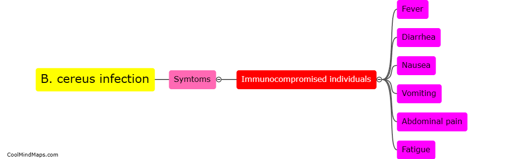 What are the symptoms of B. cereus infection in immunosuppressed individuals?