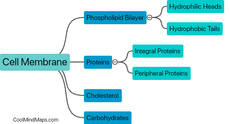 What is the composition of the cell membrane?