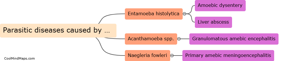 What are parasitic diseases caused by amoebae?