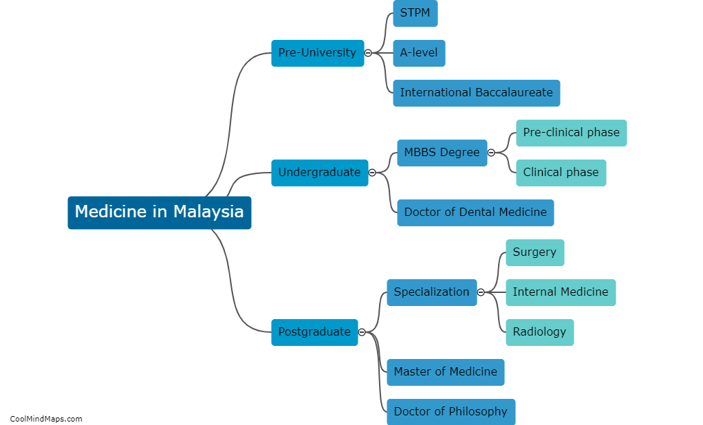 What is the education pathway for medicine in Malaysia?