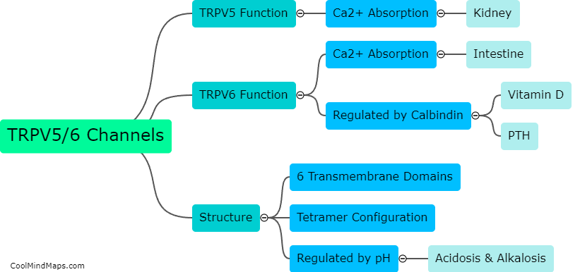 What are TRPV5 and TRPV6 channels?