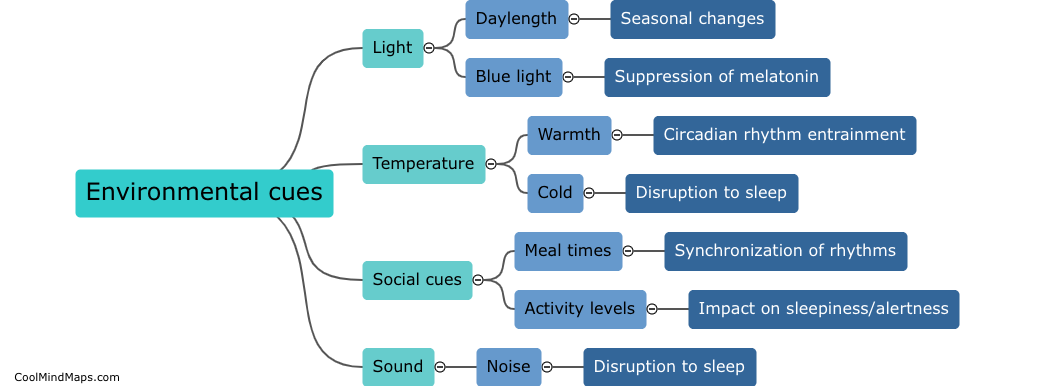 How do different environmental cues affect our internal clock?