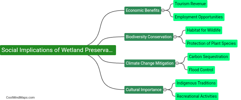 What are the social implications of wetland preservation?