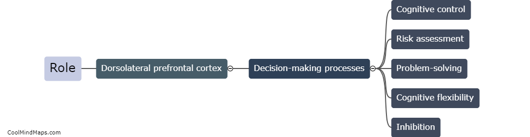 What is the role of the dorsolateral prefrontal cortex in decision-making?