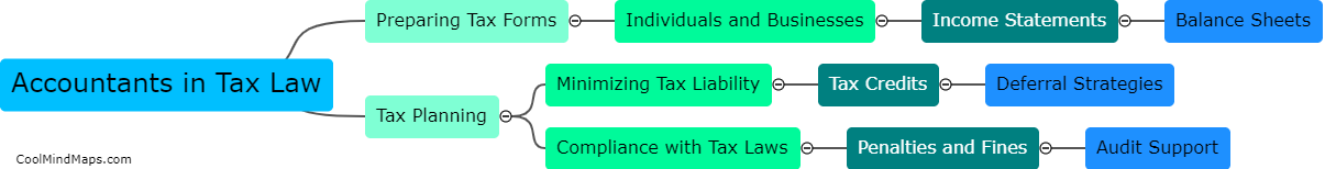 What is the role of accountants in tax law?