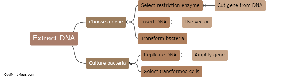 How is DNA cloning performed?