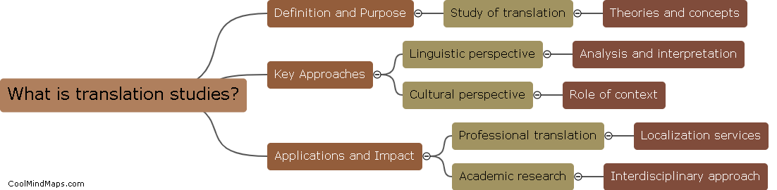 What is translation studies?