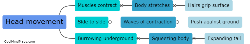 How does a worm move?