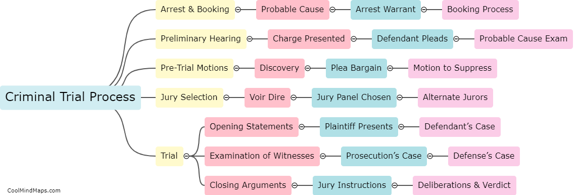 What is the process for a criminal trial?