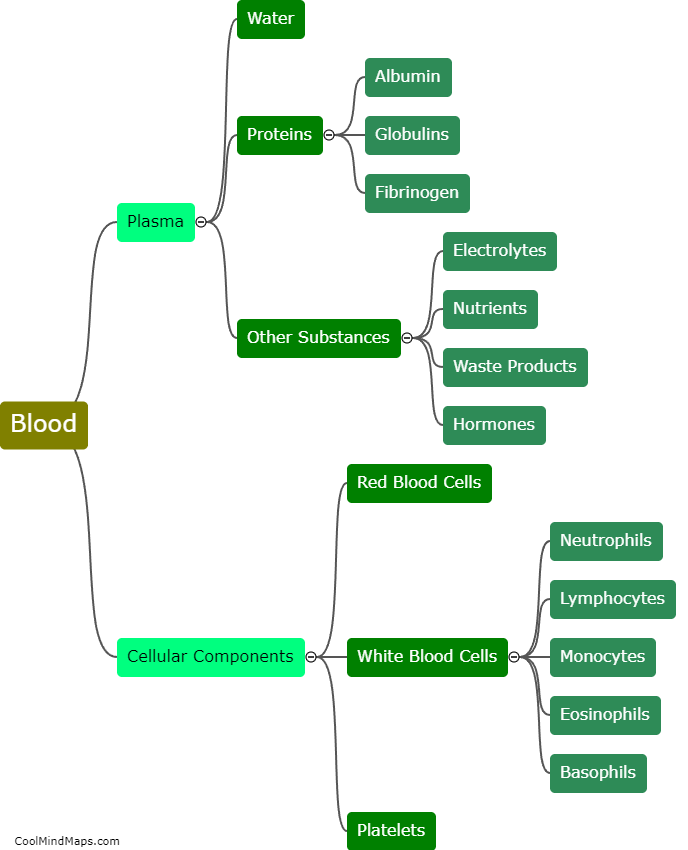 What are the main components of blood?