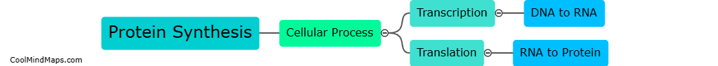 What is protein synthesis?