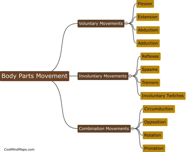 What are the different ways body parts move?