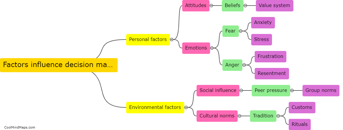 What factors influence the decision making process?