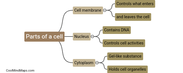 How do the parts of a cell function?