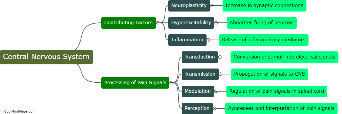 How does the central nervous system contribute to chronic pain?
