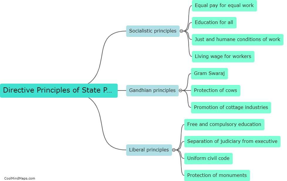 What are the directive principles of state policy?