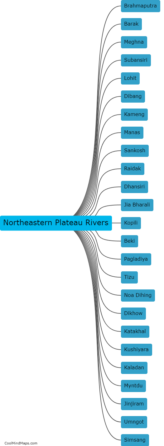 What are the major rivers in the North Eastern Plateau?