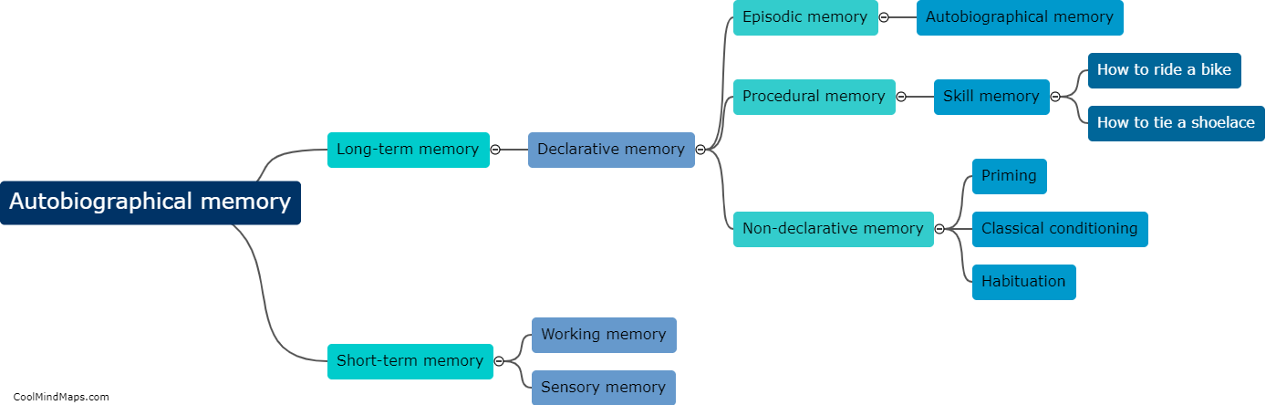 How does autobiographical memory differ from other forms of memory?
