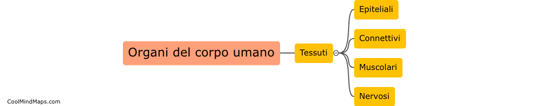 Come si classificano i tessuti del corpo umano?