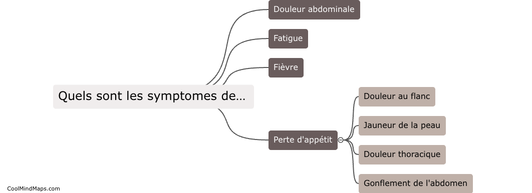 Quels sont les symptomes des syndromes de la rate?