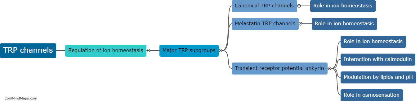 How do TRP channels regulate ion homeostasis?