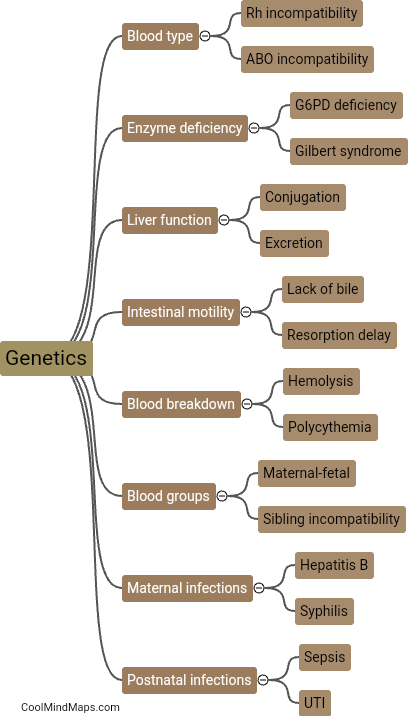 What causes neonatal jaundice?