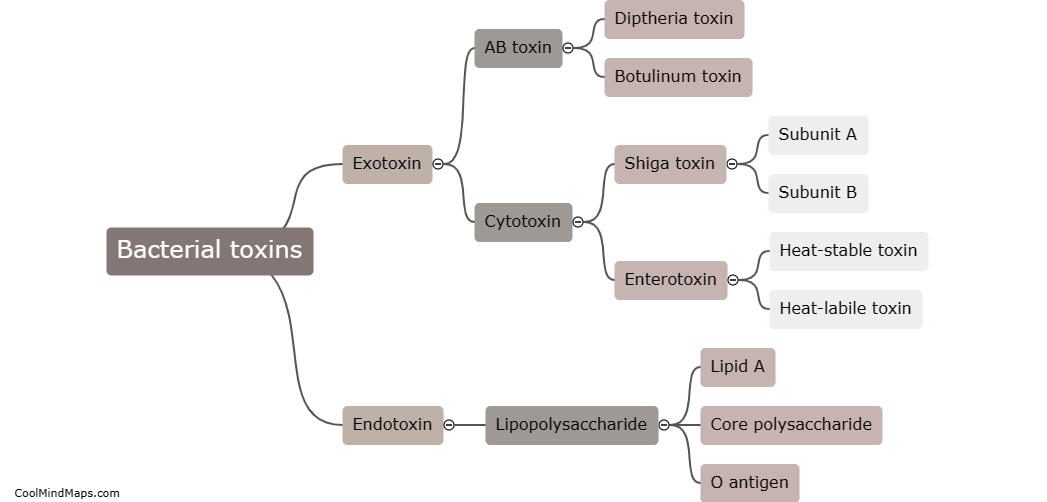 What are the types of bacterial toxins?