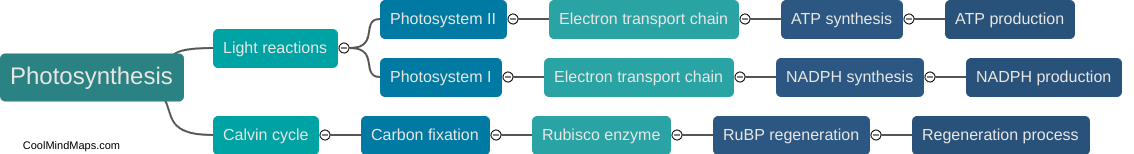 What are the key components involved in photosynthesis?