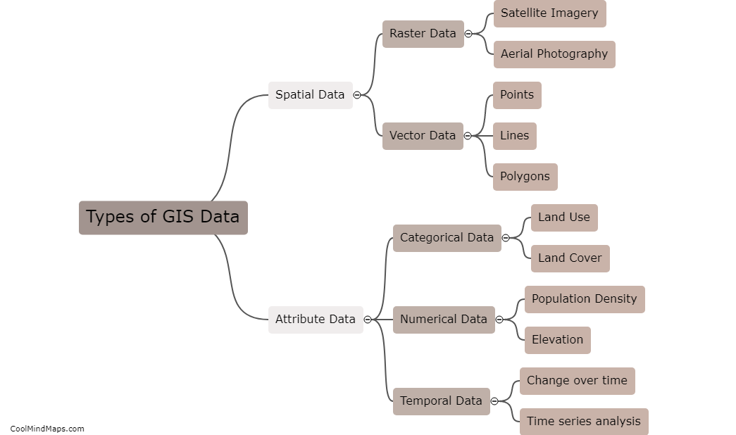 What are the types of GIS data?
