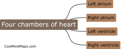 What are the four chambers of the heart?