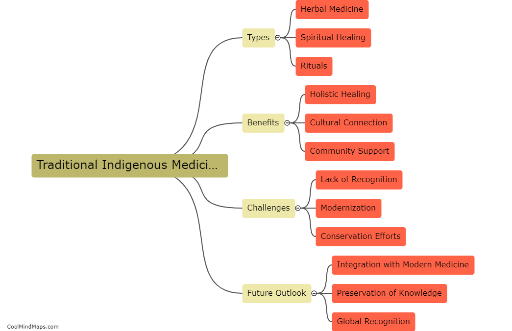 What are traditional indigenous medicine practices?