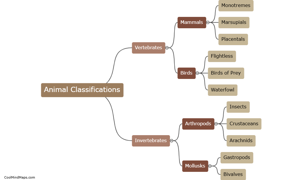 What are the main animal classifications?