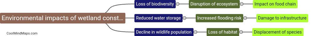 What are the environmental impacts of wetland constraints?