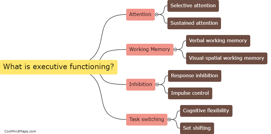 What is executive functioning?