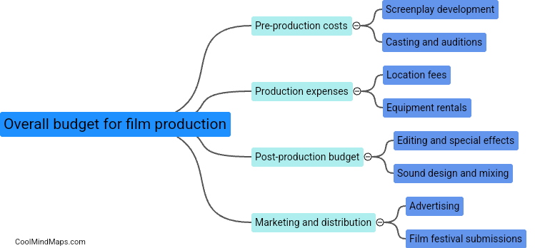 What is the overall budget for film production?
