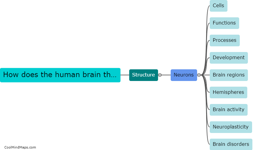 How does the human brain think and work?