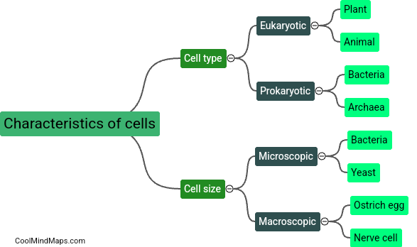 How do the characteristics of cells vary?