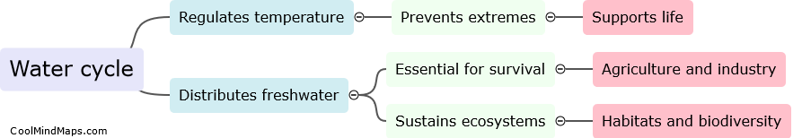 Why is the water cycle important?