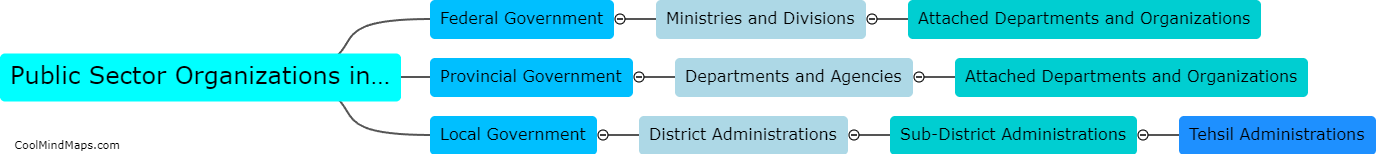 What is the structure of public sector organizations in Pakistan?