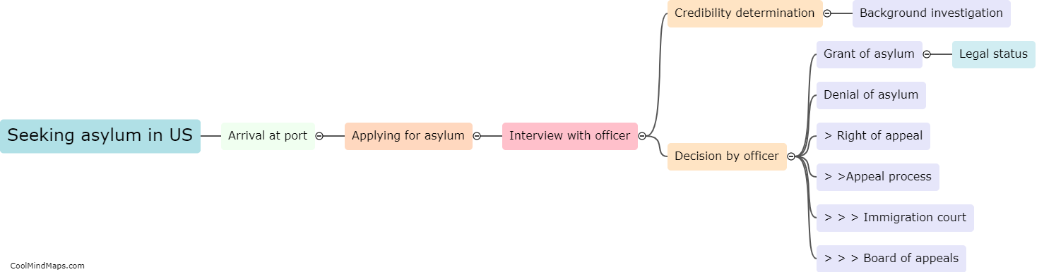 What is the process for seeking asylum in the US?
