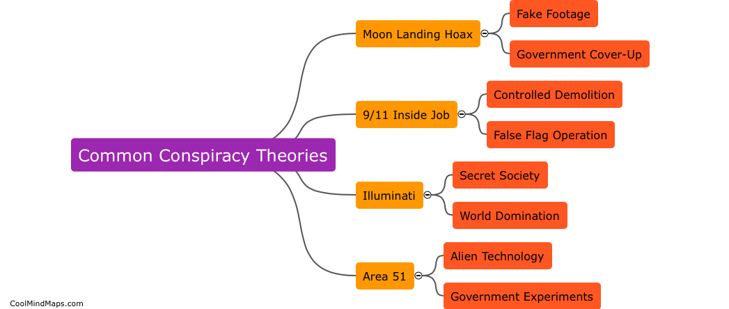 What are common conspiracy theories?