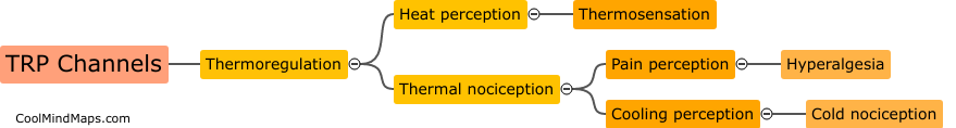 What role do TRP channels play in thermoregulation?