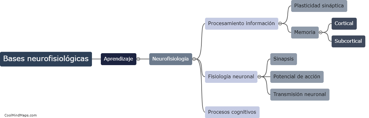 ¿Qué son las bases neurofisiológicas del aprendizaje?